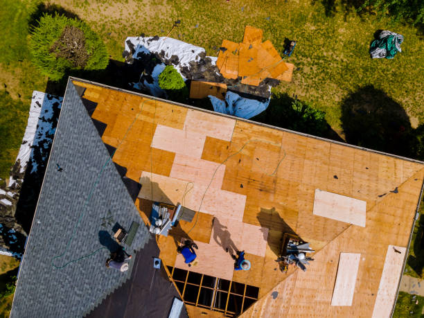 Best Storm Damage Roof Repair  in Hackensack, NJ